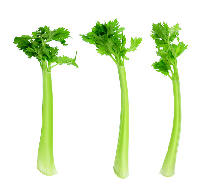 Celery on White Background