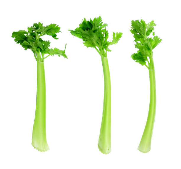 Celery Celery on White Background celery stock pictures, royalty-free photos & images