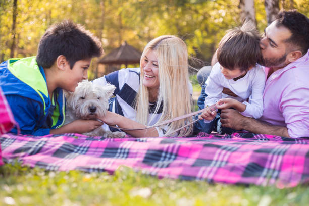 Happy mixed-race family Mixed-race family enjoying in public park with cute white dog teenager couple child blond hair stock pictures, royalty-free photos & images