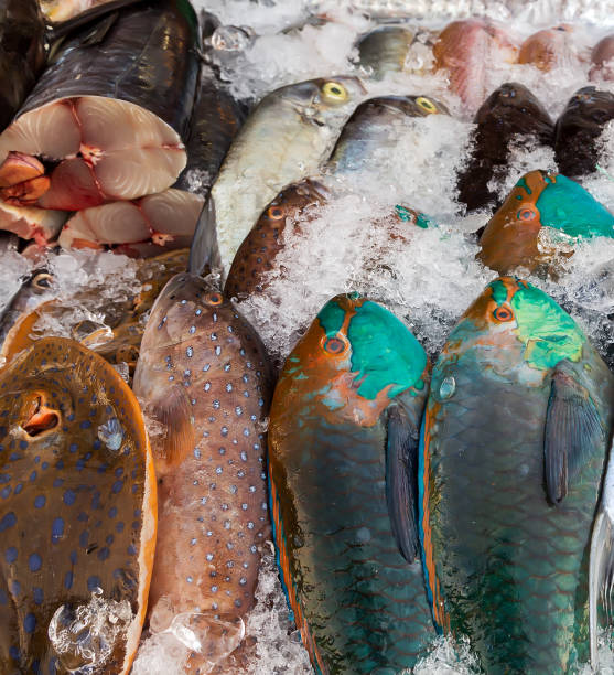 ryby wyświetlane na targu rybnym - chinook salmon zdjęcia i obrazy z banku zdjęć