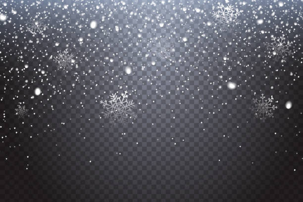 First snow. Realistic falling snowflakes isolated on transparent background. Winter decoration element for your christmas design. Vector illustration. First snow. Realistic falling snowflakes isolated on transparent background. Winter decoration element for your christmas design. Vector illustration. fall weather stock illustrations