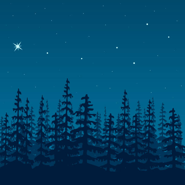 istock landscape with silhouette of forest at night Sky, stars, wood, trees, firs, mist. Vector illustration 866191270