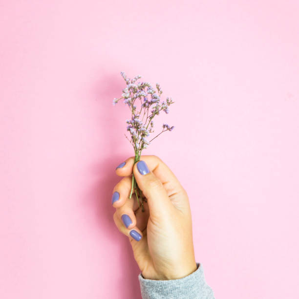 istock Limonium flowers in female hands with lilac manicure 866198428