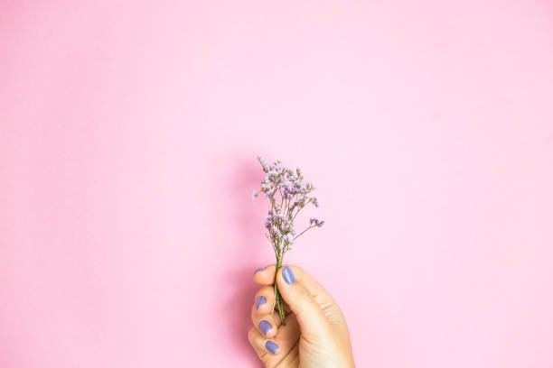 istock Limonium flowers in female hands with lilac manicure 866198434