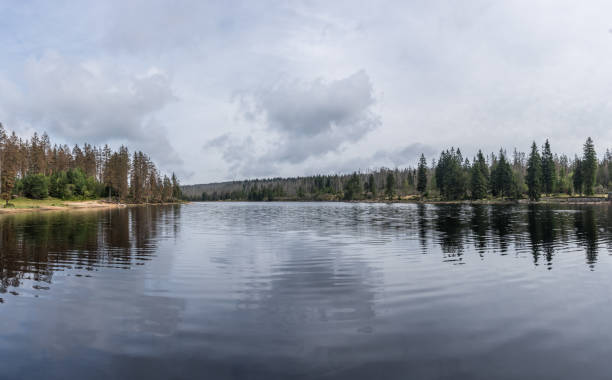 istock The Silberteich lake  in Harz, Germany 866201274