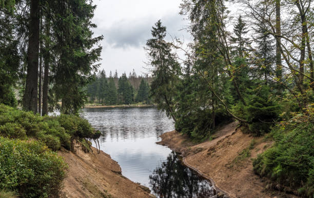 istock The Silberteich lake  in Harz, Germany 866203586