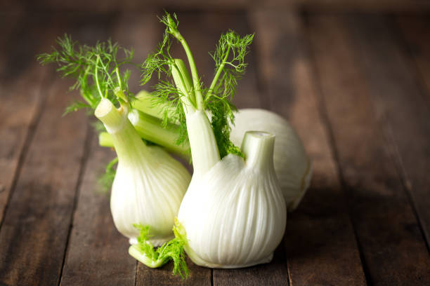 bulbo di finocchio fresco - fennel foto e immagini stock