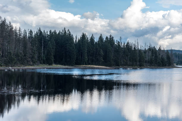 istock The Silberteich lake  in Harz, Germany 866207254