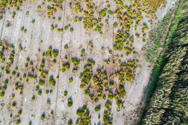 istock Abstract field farming - aerial view 866209944