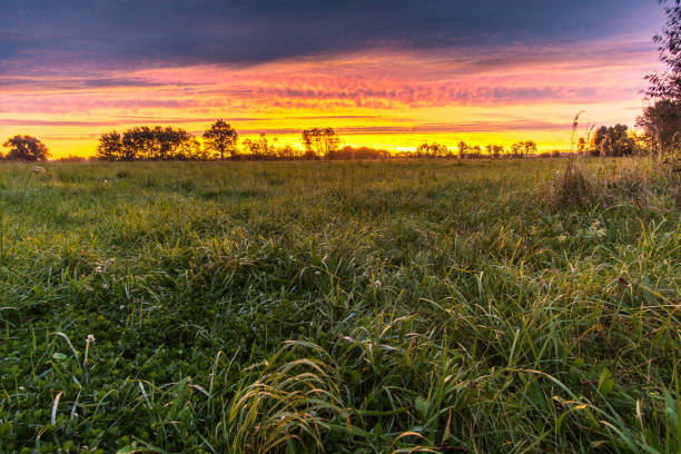istock green meadow with morning dew at a red sunrise 866213312