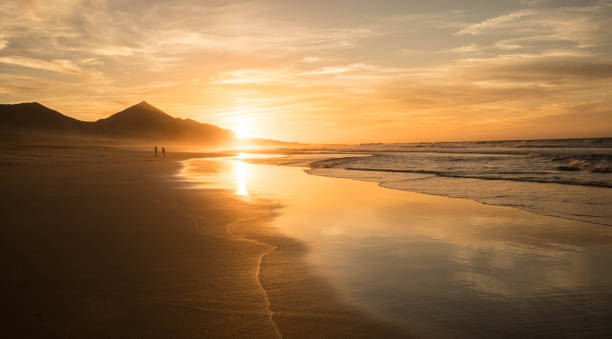 istock Beautiful sandy beach sunset Fuerteventura, Cofete, Barlovento 866219042