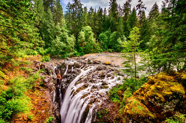 inglês river falls provincial park - englishman river falls - fotografias e filmes do acervo