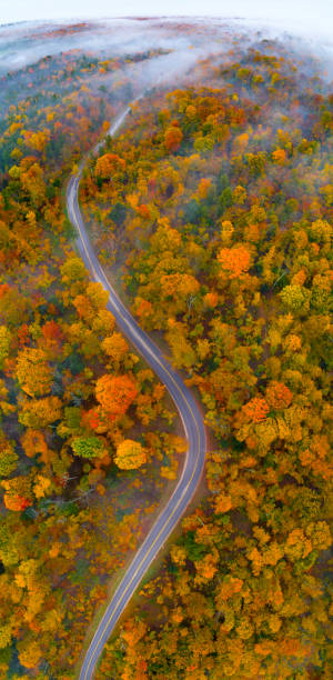 Looking down on road through forest of breathtaking Autumn colors