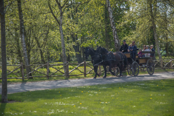 istock The old horse-drawn carriage 866222060
