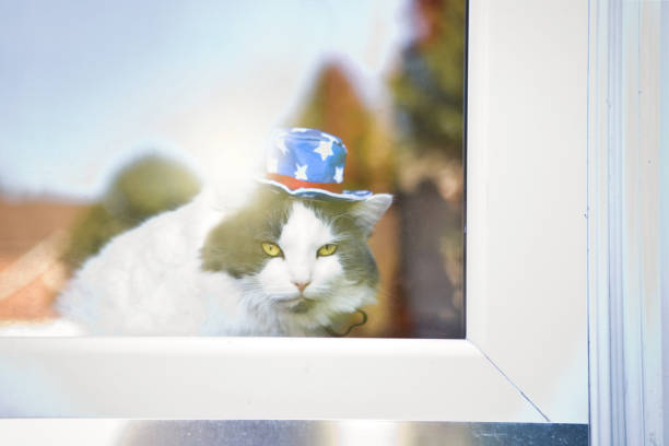 A cat wearing an American hat looking though a glass door.