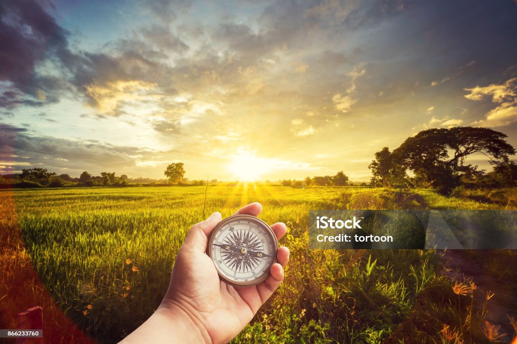 A man holding compass on hand at field and sunset for navigation guide. Navigational Compass Stock Photo