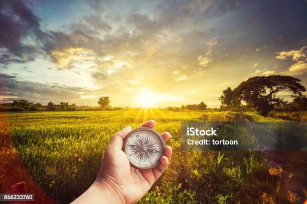 A Man Holding Compass On Hand At Field And Sunset For Navigation Guide Stock Photo - Download Image Now