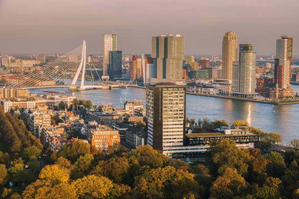 istock Aerial panorama of Rotterdam 866233788
