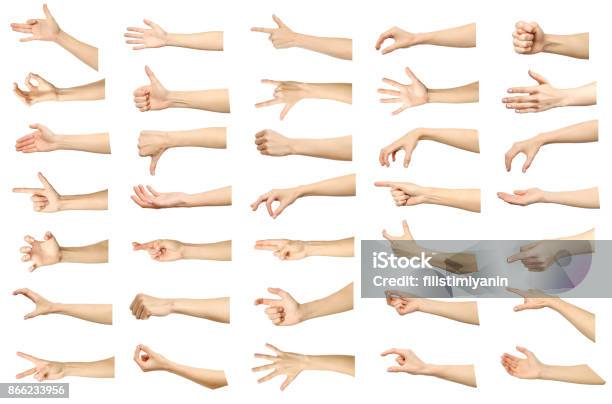 Set Di Immagini Multiple Di Gesti Della Mano Caucasici Femminili Isolati Su Sfondo Bianco Parte Della Serie - Fotografie stock e altre immagini di Mano