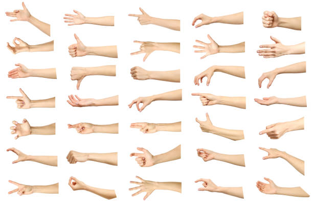 Multiple images set of female caucasian hand gestures isolated over white background. Part of series Multiple images set of female caucasian hand gestures isolated over white background. Part of series stage set photos stock pictures, royalty-free photos & images