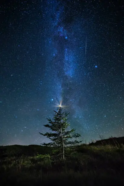 Photo of Starry nigth sky with Milky Way