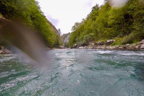 istock mountain river Tara in Montenegro 866240518