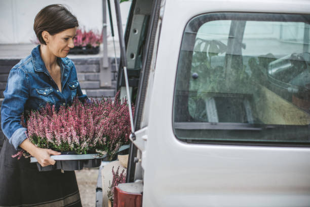 Cropped shot of woman shopping for different cactuses and succulents in flowers store. Bunch of plants in pots for sale in greenhouse market. Close up, copy space for text, background, top view.