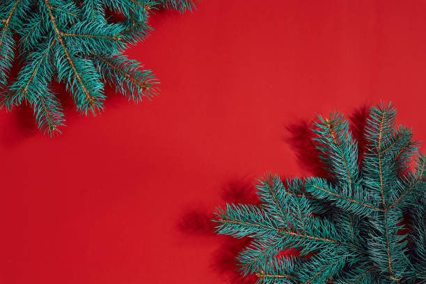 istock Fir branches border on red background, good for christmas backdrop 866244656