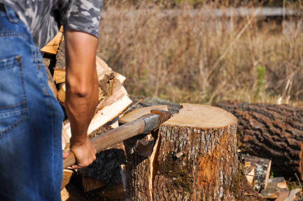 istock Lumberjack chopping wood for winter 866247280