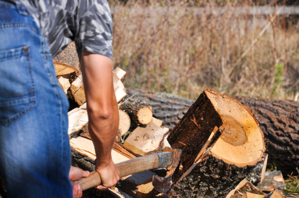 istock Lumberjack chopping wood for winter 866247294
