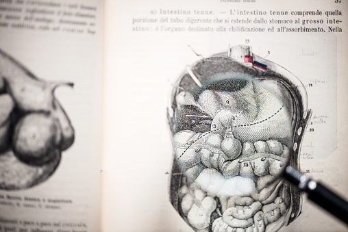 Magnifying glass on antique anatomy book: Organs