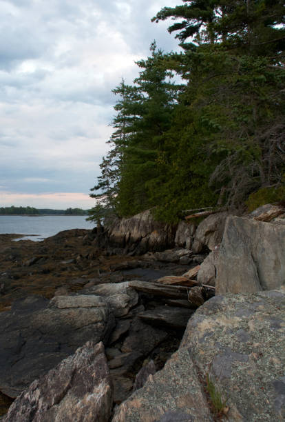 istock Brooksville Maine Coast 866252030