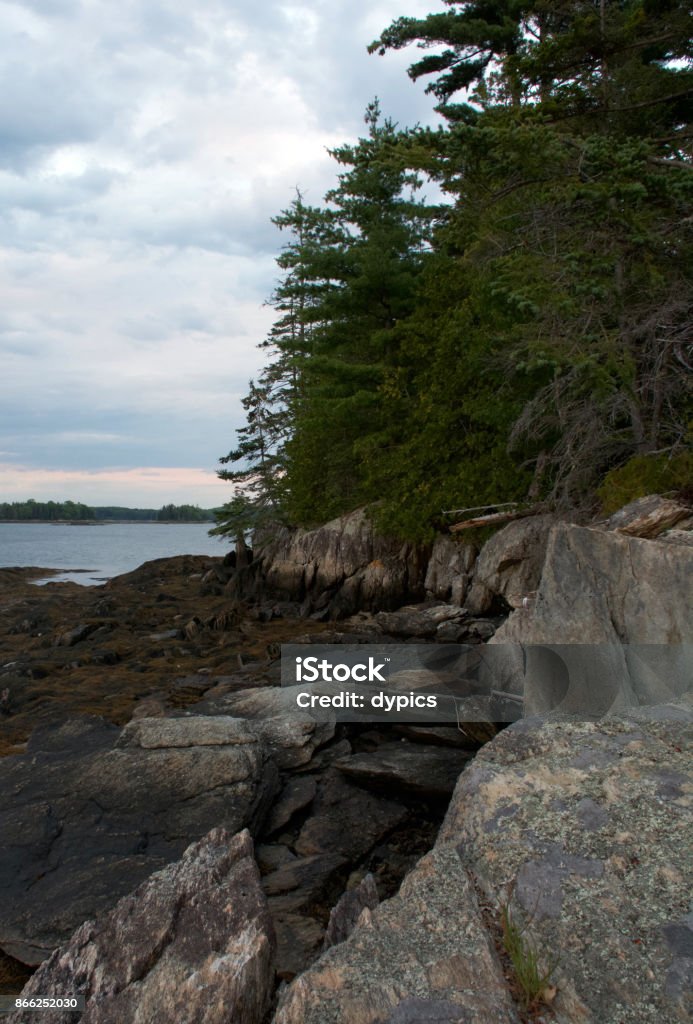 Brooksville Maine Coast The coast line in Holbrook Island Sanctuary in Brooksville Maine. Coastline Stock Photo
