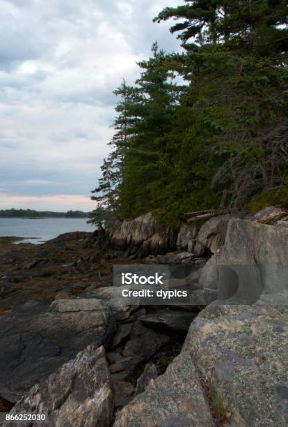 Brooksville Maine Coast Stock Photo - Download Image Now - Coastline, Landscape - Scenery, Low Tide
