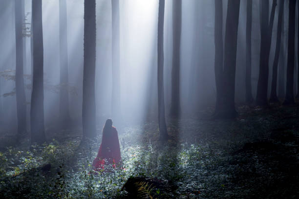 istock Red Riding Hood in the forest 866255598
