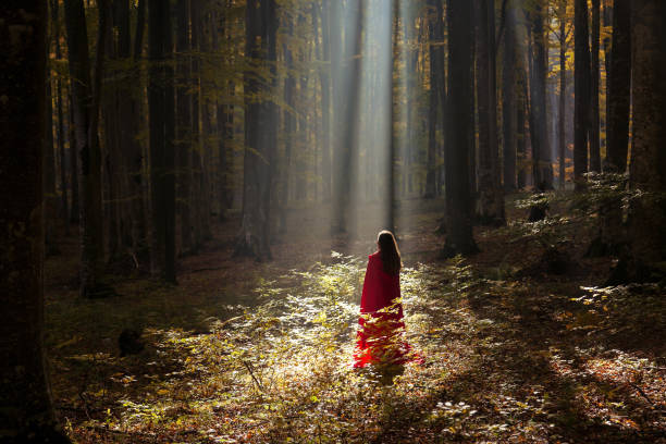 istock Red Riding Hood in the forest 866255634
