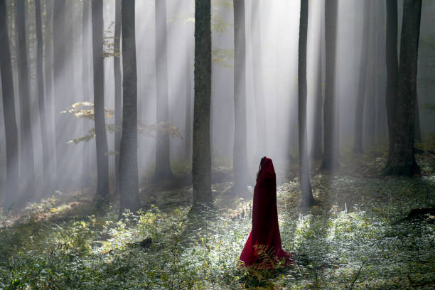 istock Red Riding Hood in the forest 866255694