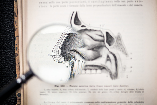 Magnifying glass on antique anatomy book: Nose