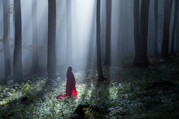 istock Red Riding Hood in the forest 866255736