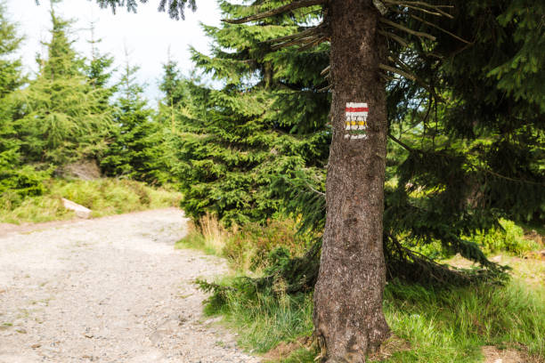 istock Mountain trails in 