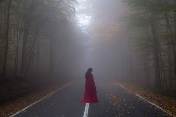 istock Red Riding Hood in the forest 866255920