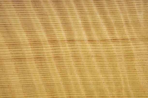 istock Veneer from wood sequoi with a texture FRISSE. Backdrop or background wooden. 866256600