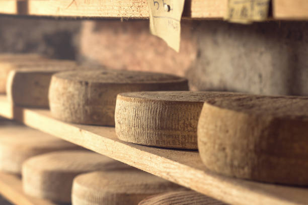 istock series of top quality bio natural cheese 866256658