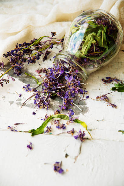 istock Traditional russian green herbal tea from Fireweed leaves: Koporye Tea, Russian Tea or Ivan Chai. 866257100
