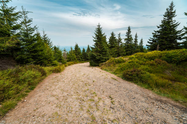 Mountain trails in \