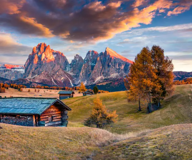Incredible sunset in Alpe di Siusi with beautiful yellow larch trees and Langkofel (Sassolungo) mountain on background. Colorful autumn evening in Dolomite Alps, Ortisei locattion, Italy, Europe.