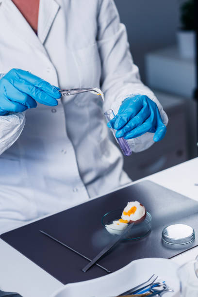 istock Food safety 866264296