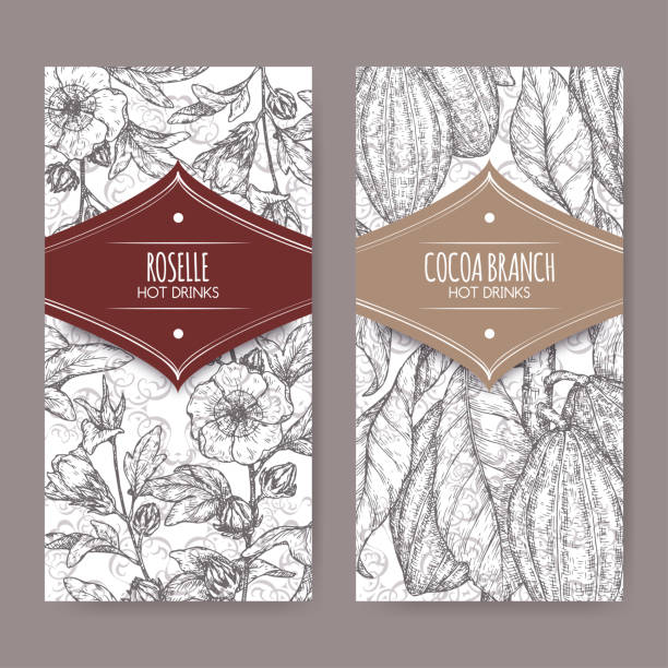 Set of two labels with Roselle aka Hibiscus sabdariffa and Cocoa tree aka Theobroma cacao branch sketch. Set of two labels with Roselle aka Hibiscus sabdariffa and Cocoa tree aka Theobroma cacao branch sketch. Hot drinks collection. Great for cafe, bars, tea ads. theobroma cacao flower stock illustrations