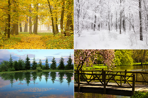 Four seasons combined, seasonal outdoor four in one background collage