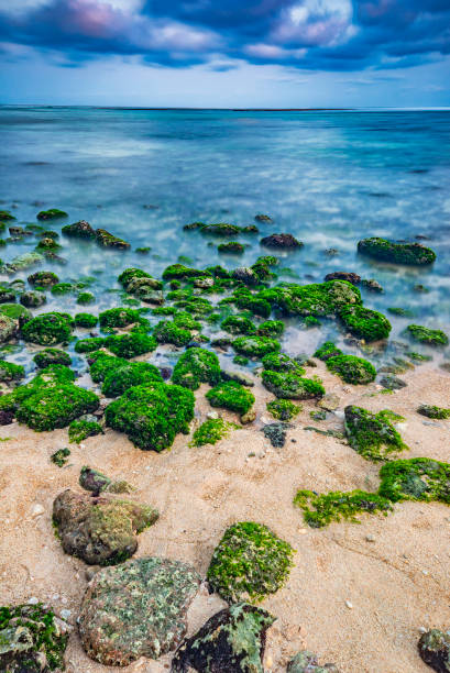 stones in the sea - longtime imagens e fotografias de stock